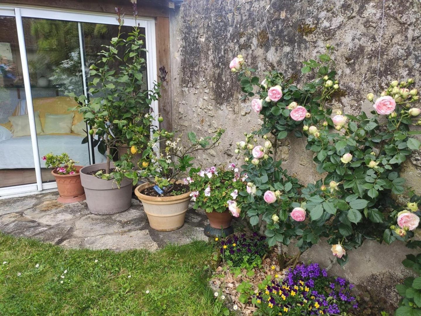 Le Relais De L'Ormeau - Charmant Gite Pour 4 Pers. Lussault-sur-Loire Екстериор снимка